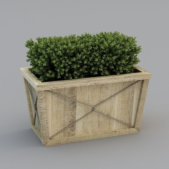 พืชสีเขียว สไตล์ชนบท