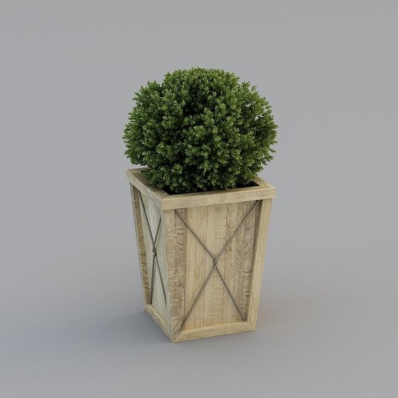 Wooden Flower Pot with Spherical Plant 3D model