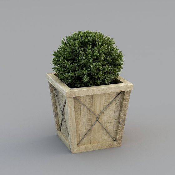 Low-Poly Wooden Planter with Evergreen Tree 3D model