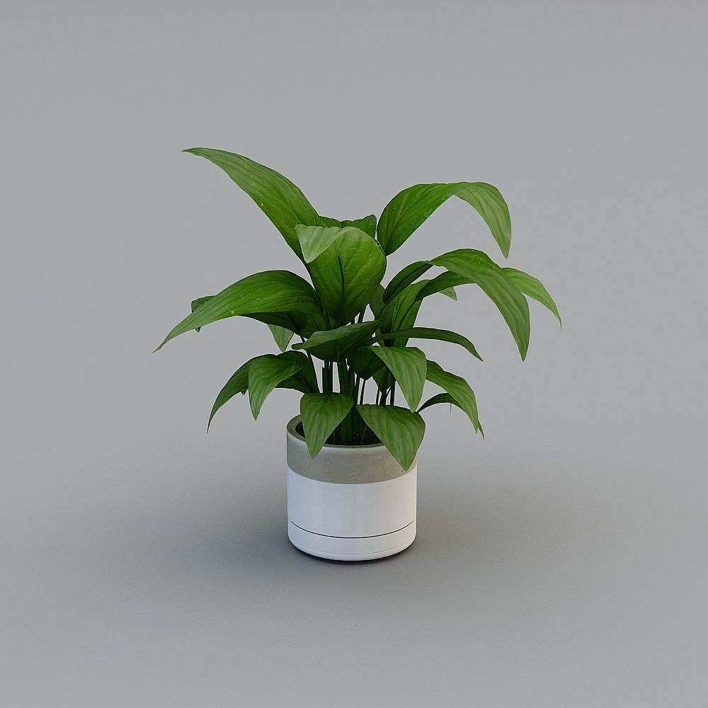 Nordic green Green Plant