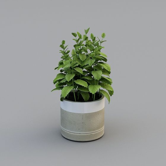 Urban Green Plant Pot 3D model