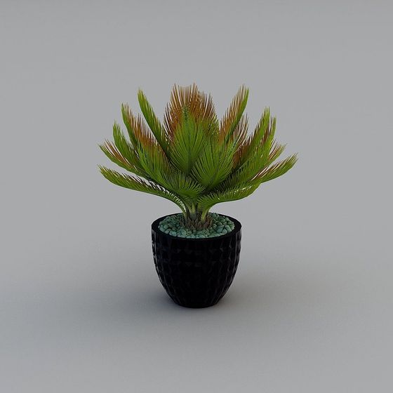 현대적 녹색 식물