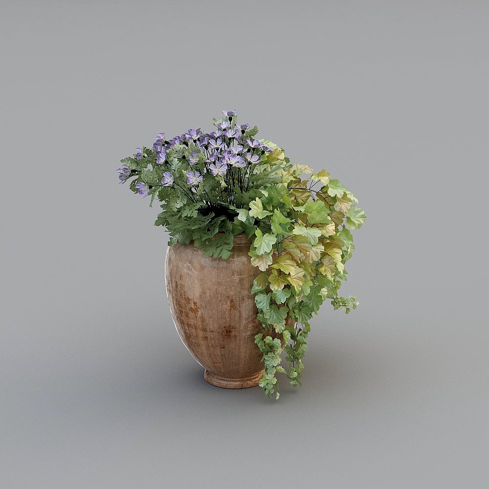 American green planting Green Plant