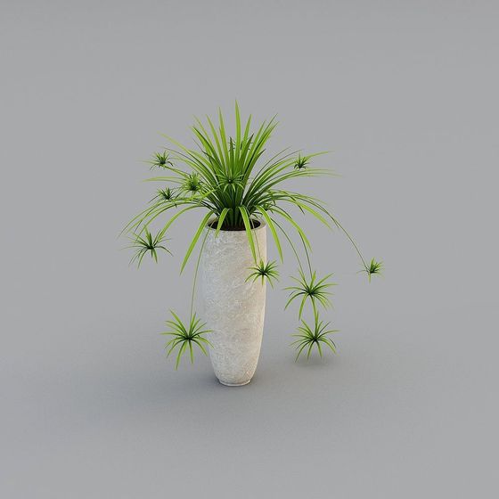 Realistic Indoor Plant 3D Model for Creative Projects