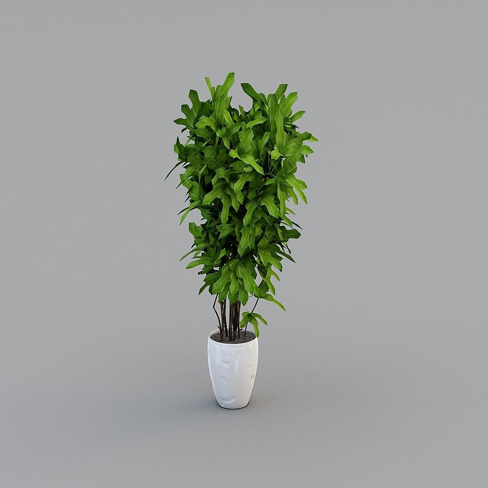 Living room green plants