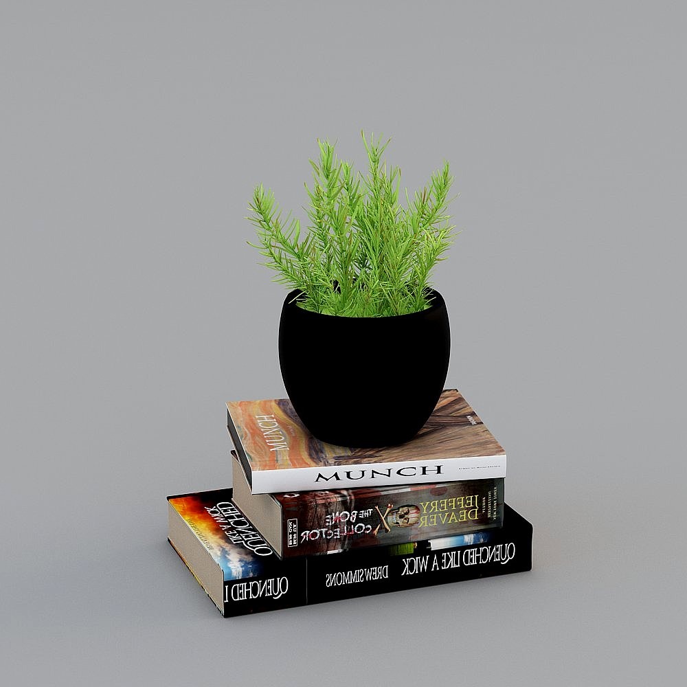 Đồ trang trí hiện đại Đồ trang trí