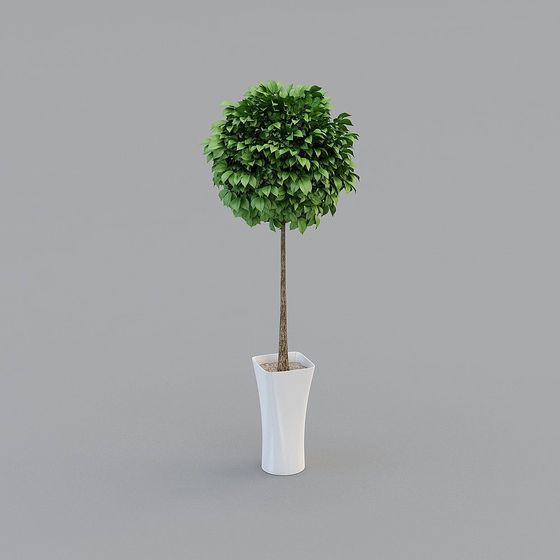 Dome Plant Pot 3D Model - Low Poly Design for Modern Spaces