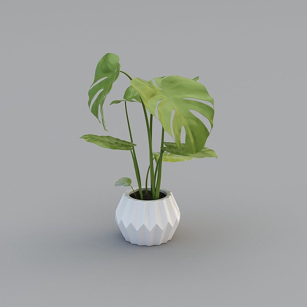 Modern Plant