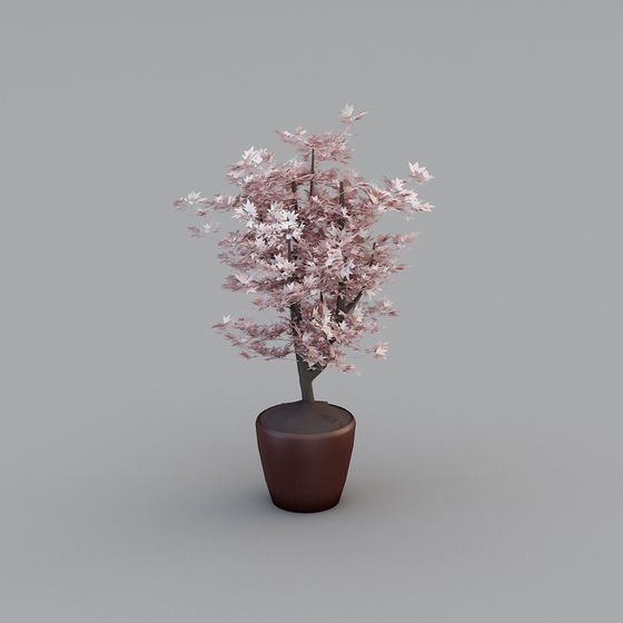 Elegant Cherry Blossom Tree 3D model