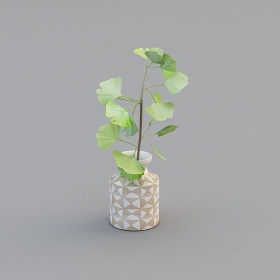 Xiaoya Potted Plant 3D Model