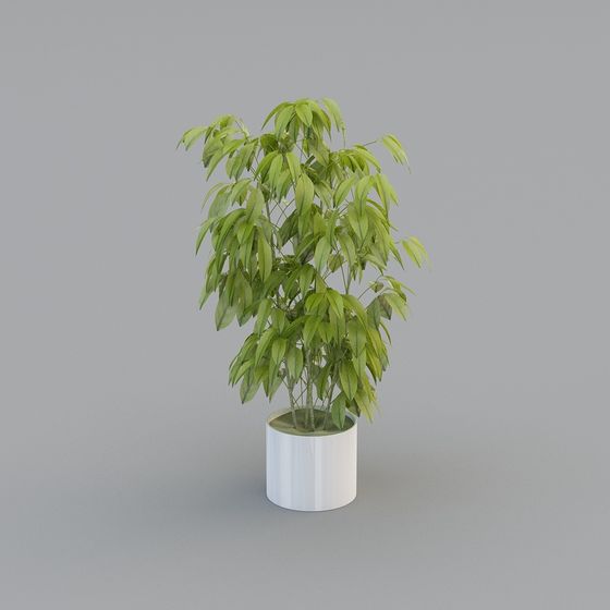 Realistic Indoor Plant 3D Model