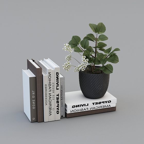 Bookshelf and Plants 3D model for Modern Interiors