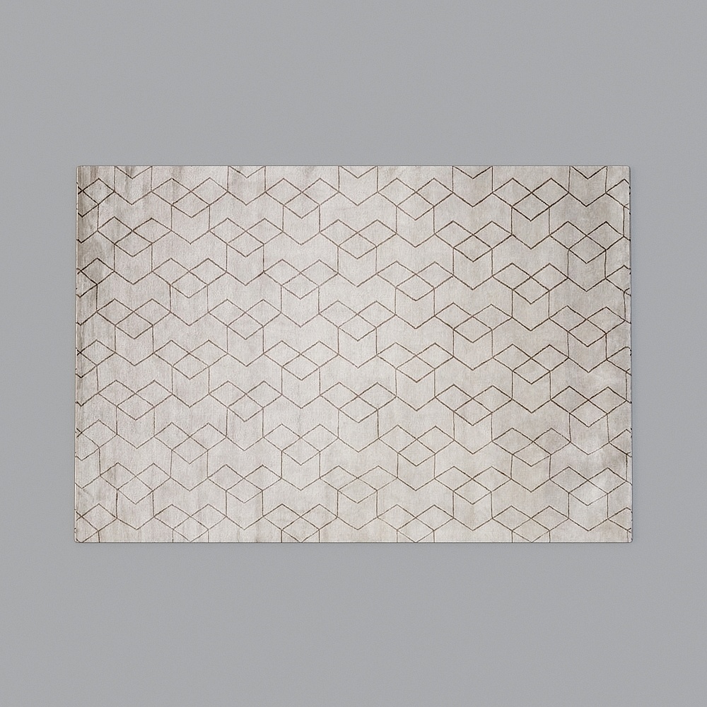 Modern carpet Area Rug