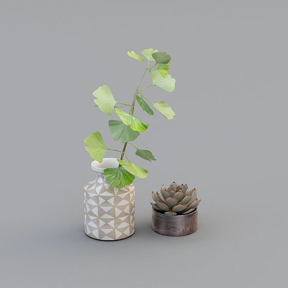 Elegant Indoor Plant Arrangement 3D Model