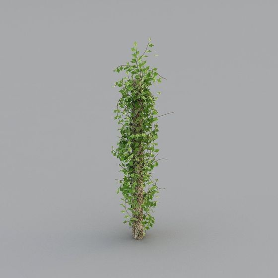 Ivy-Clad Column 3D model