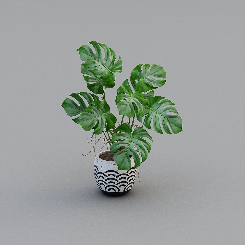 Green plant