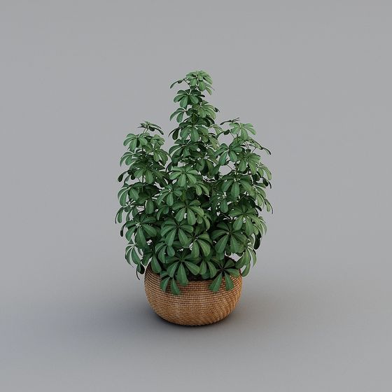 Indoor Plant 3D Model for Creative Projects