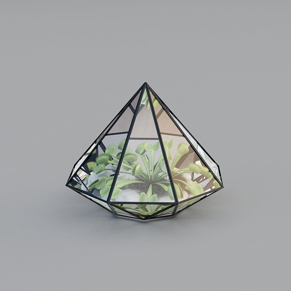 ขวดเชิงนิเวศภูมิทัศน์เล็กๆที่มีรูปทรงเรขาคณิตแบบโมเดิร์น