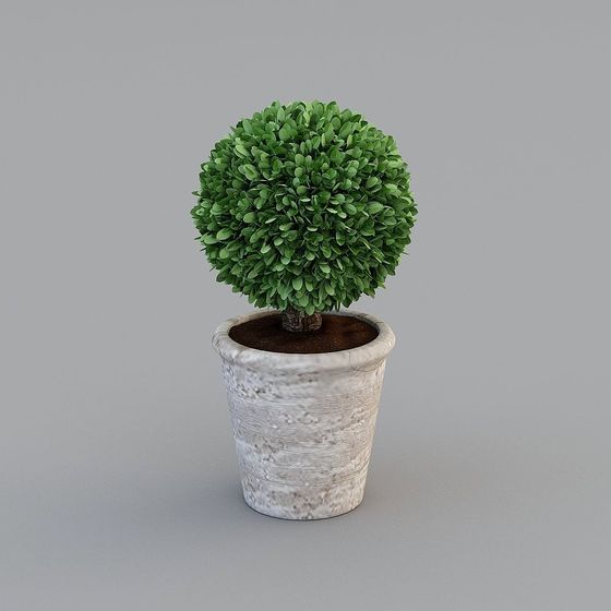 Delicate Low-Poly Potted Plant 3D model
