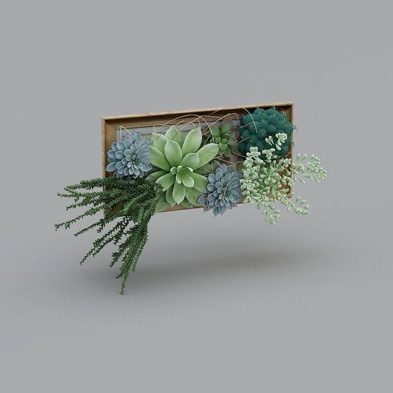 Wall-Mounted Succulent Plants 3D Model