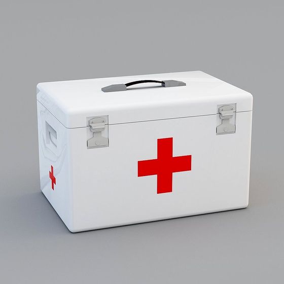 Minimalist First Aid Kit 3D model