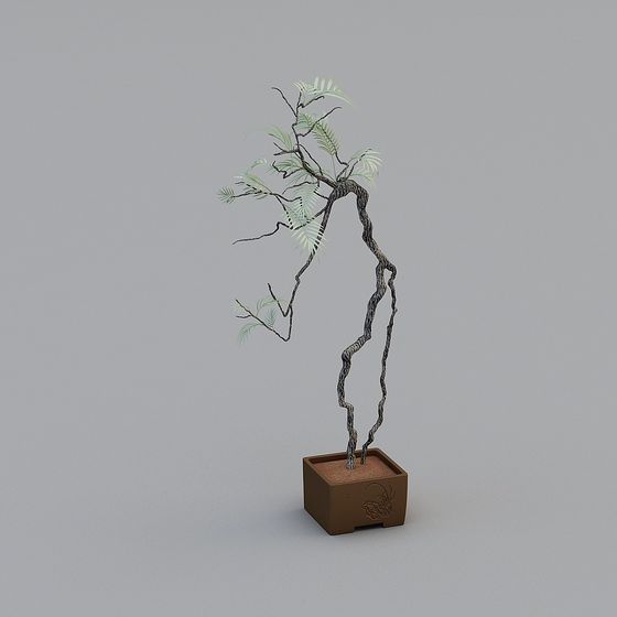 Twisted Bonsai 3D Model for Nature-inspired Design