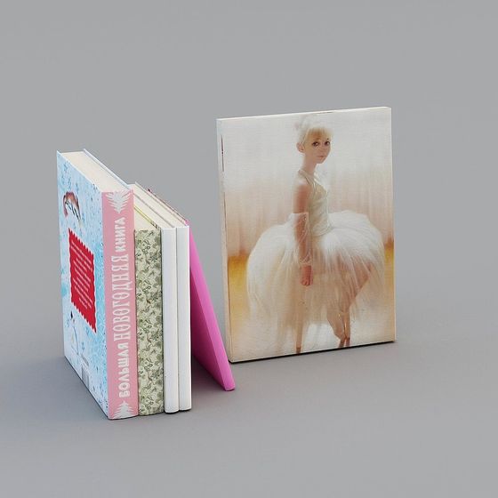 Bookshelf Dreams 3D model