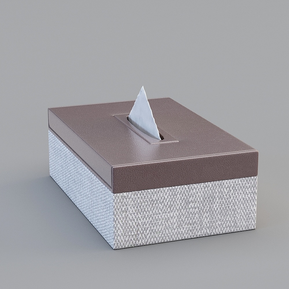 Elegant Low-Poly Tissue Box 3D model