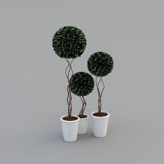 Ball-Shaped Green Plant 3D Model