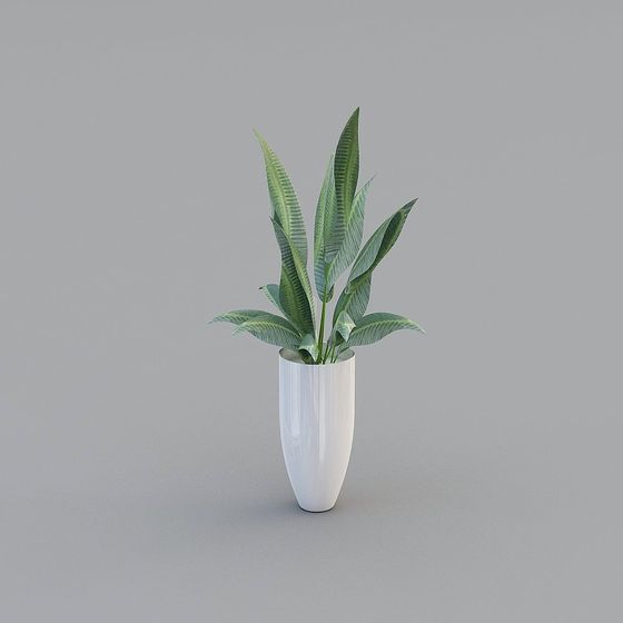 Charming Indoor Plant 3D model for Modern Designs