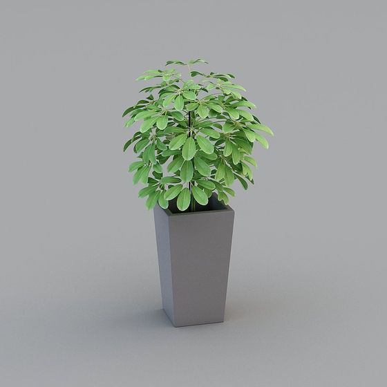 Versatile Urban Green Plant 3D Model for Creative Projects