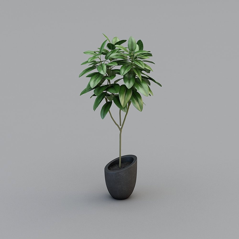 Pianta verde moderna