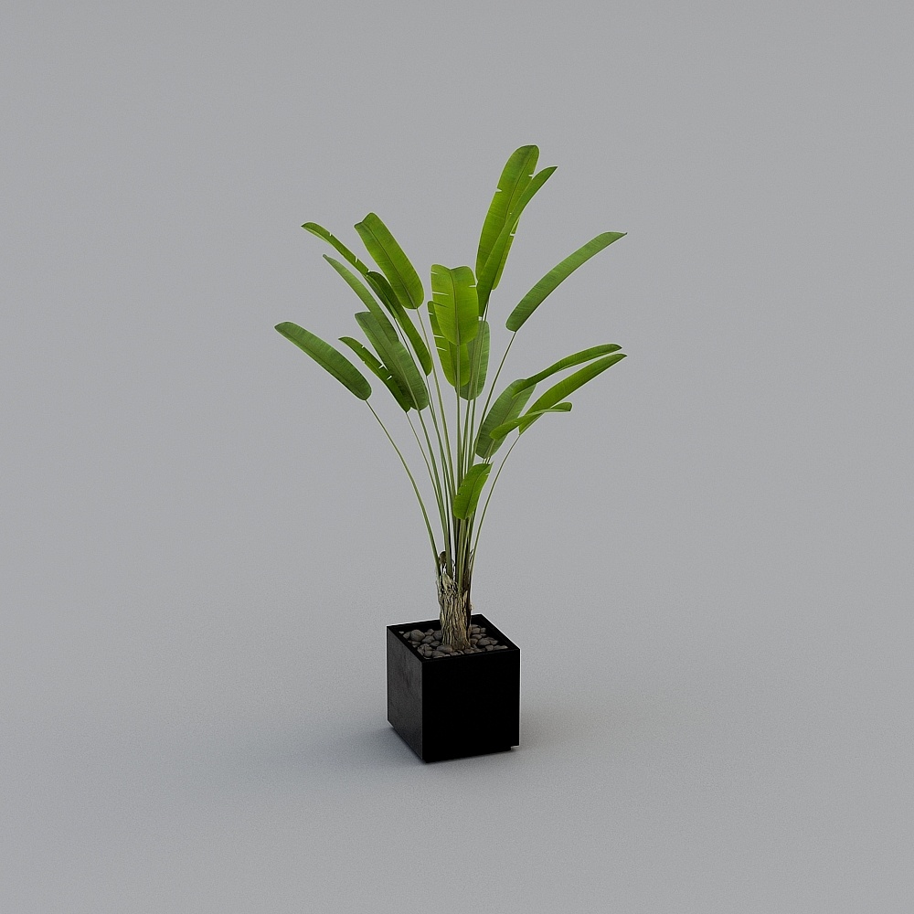 現代の緑の植物