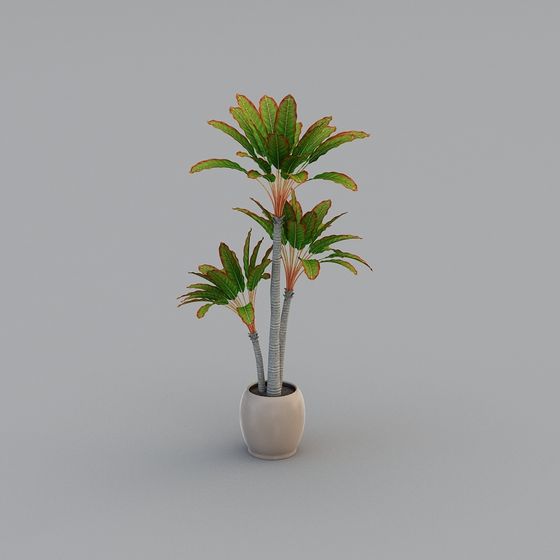 Tropical Potted Plant 3D model for Creative Projects