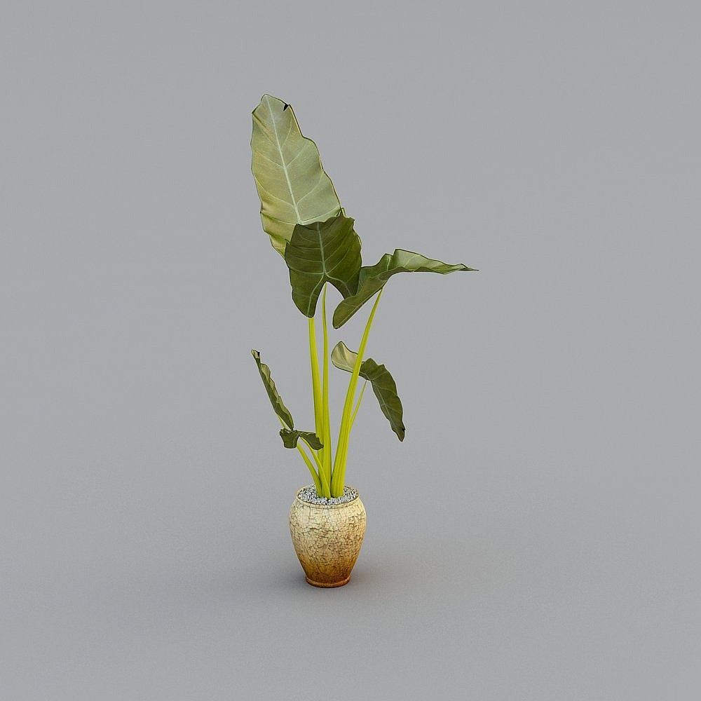 현대적인 녹색 식물의 녹색 식물의 번역