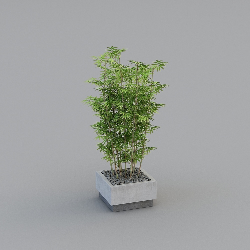 Modern green plant Green Plant