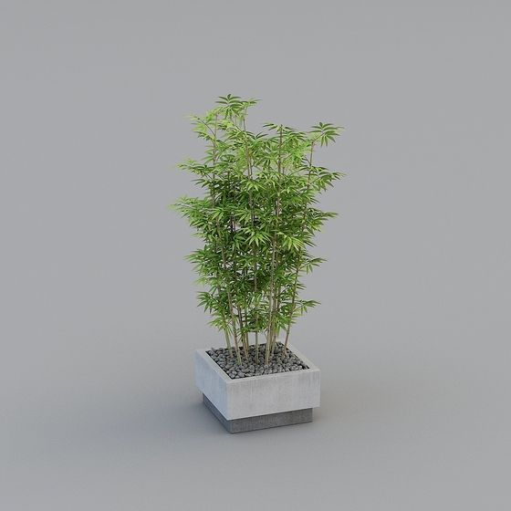 Bamboo Forest Potted Plant 3D model for Modern Spaces