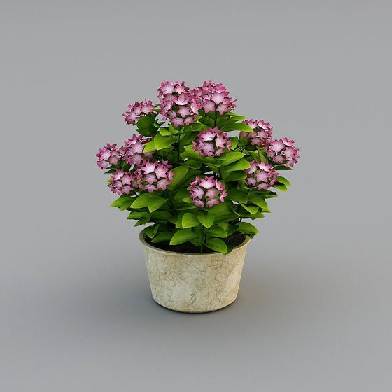 Planta en maceta 2 para el salón de Bai Bian Jia