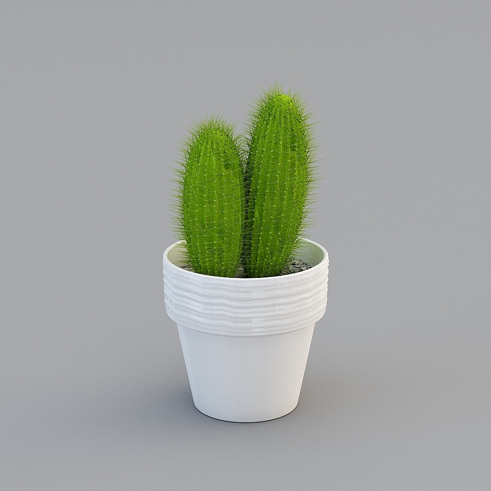 Charming Cactus Potted Plant 3D model