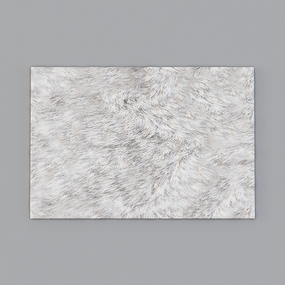 Furry Rug 3D model