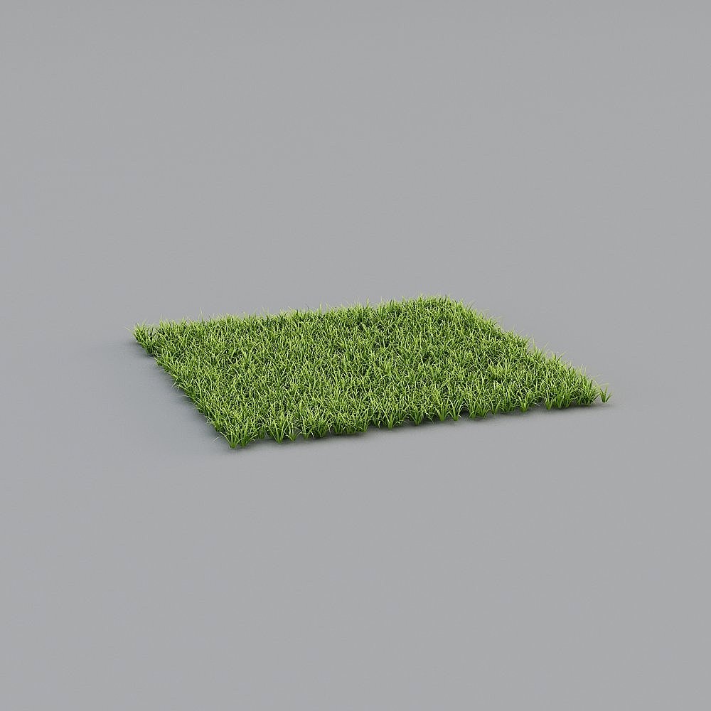 Lawn 2