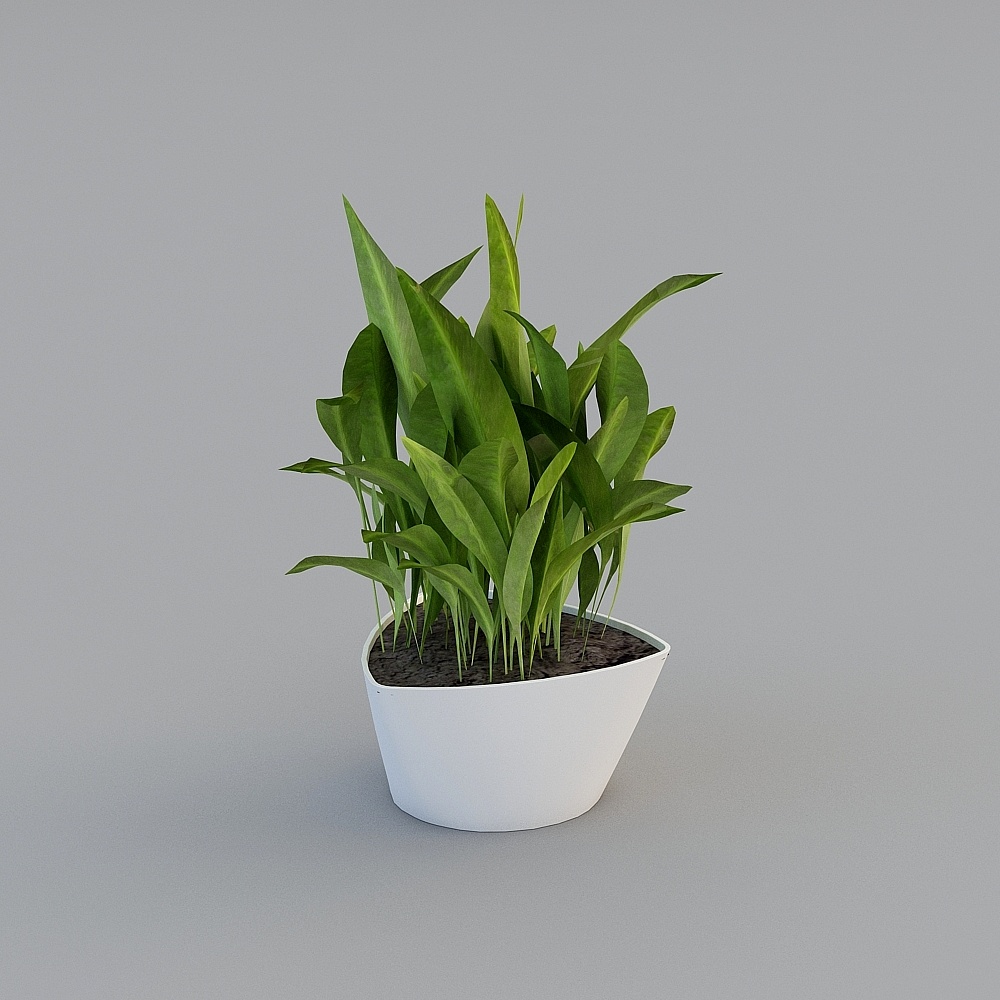 Wei He - Bouteille en Verre 0939-BJ-0939SB