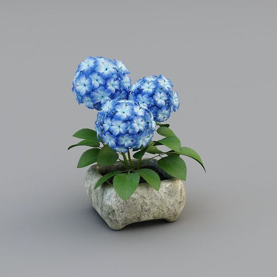 Modello Supplementare - Fiori 20