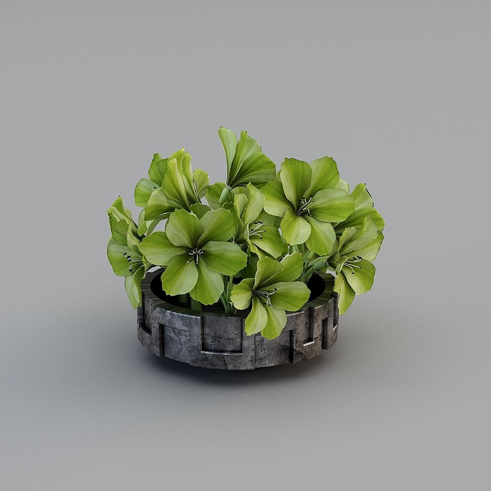 Cây xanh mặt dây chuyền mới của Trung Quốc