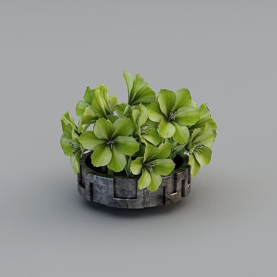 Cây xanh mặt dây chuyền mới của Trung Quốc