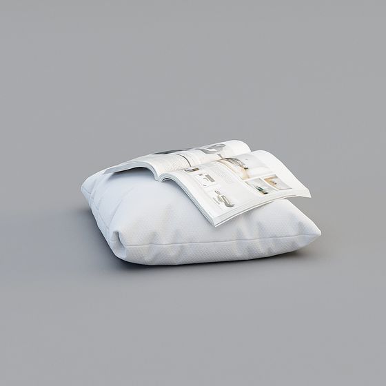 White Cushion with Book