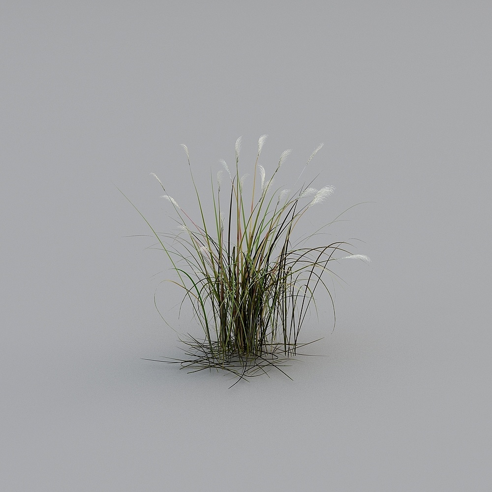 Realistic Low-Poly Grass 3D model