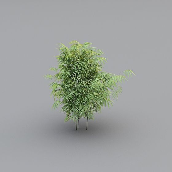 Bamboo Grove Spirit 3D model