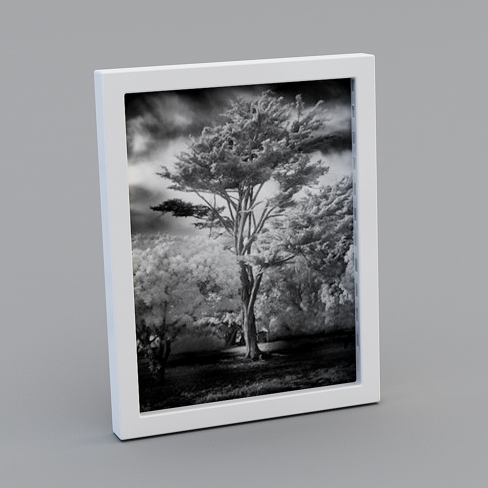 Photo frame