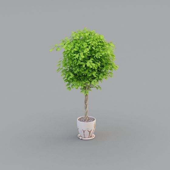 Moderno - Hall d'Hotel - Piante Verdi